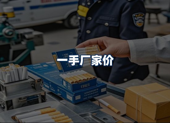 专业团队办公环境
